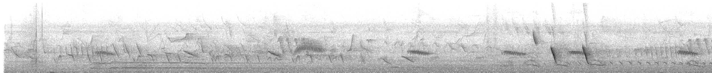Белоухий крапивник - ML621528346