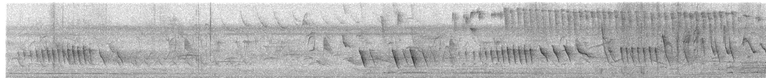 キタホオジロヒメウソ - ML621528725