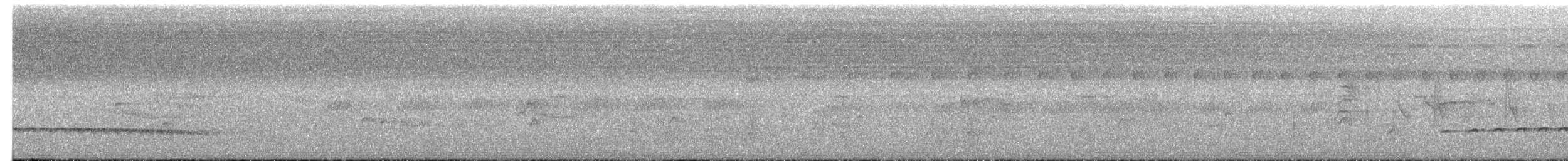 Batarito Coronipunteado - ML621530531
