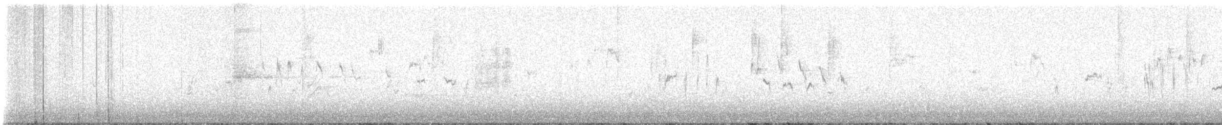 Bewick Çıtkuşu - ML621530558