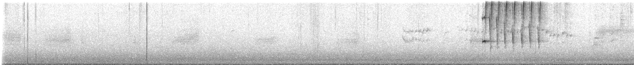 Bewick's Wren - ML621530559