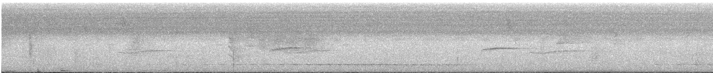 White-tailed Trogon - ML621530730