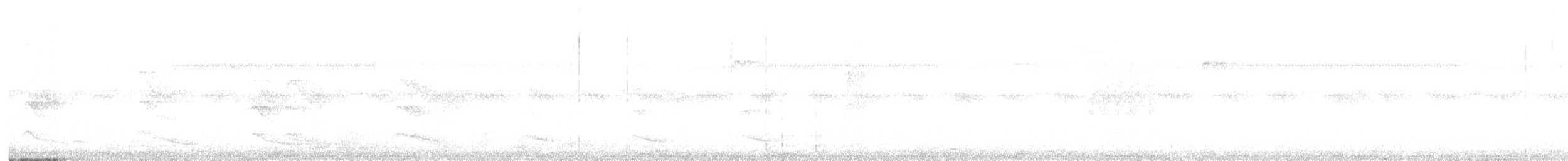 Txonta arrunta - ML621531199