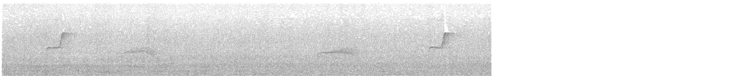 Batı Amerika Sinekkapanı [difficilis grubu] - ML621531341