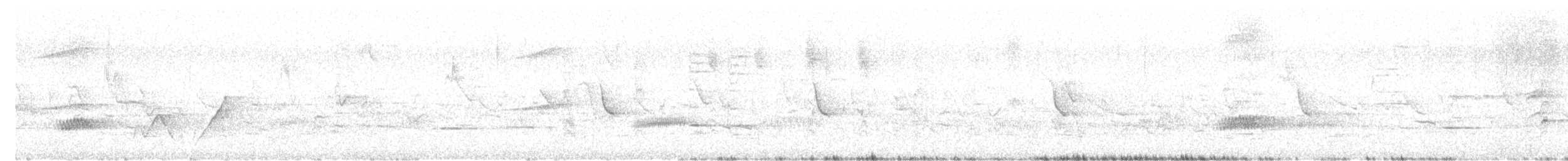 Елепайо гавайський (підвид ridgwayi) - ML621533801