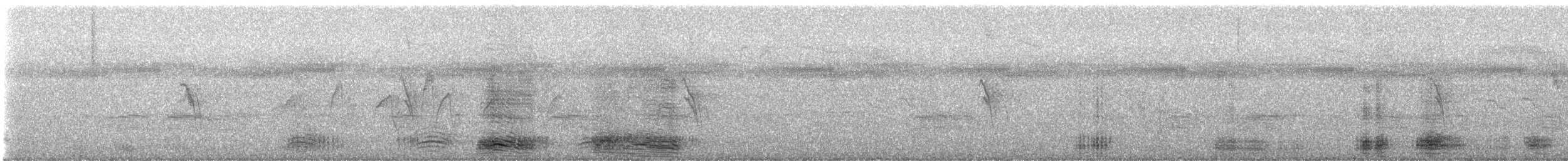 Large-billed Crow - ML621535899