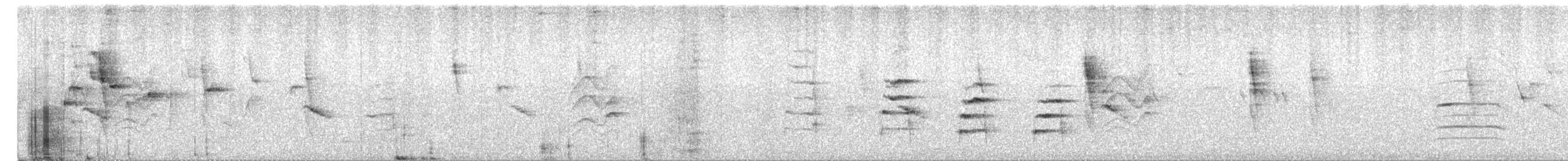 pěnicovec krátkoocasý - ML621537259