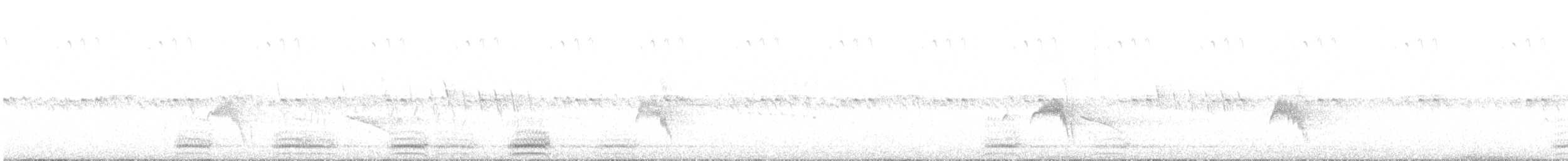 Erroia - ML621539629