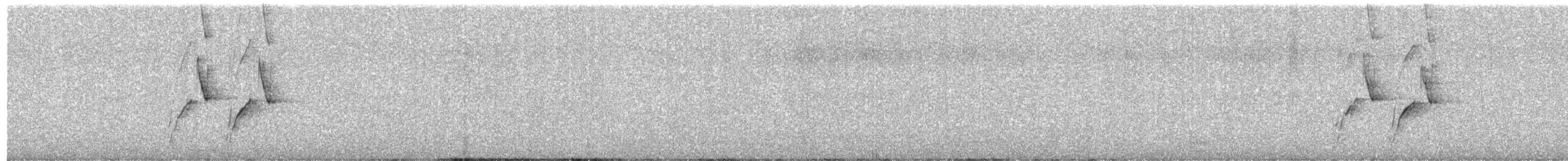 African Pied Wagtail - ML621541819