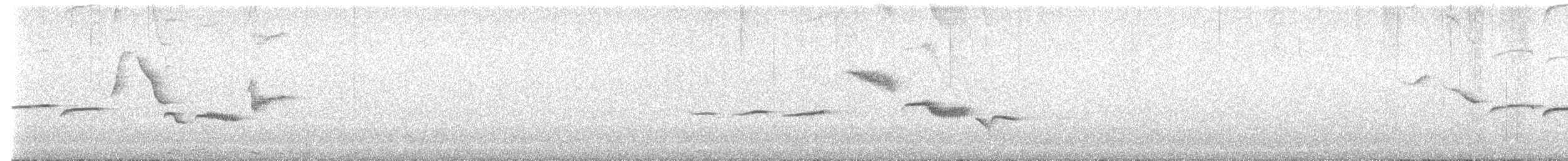 White-bellied Sholakili - ML621546186