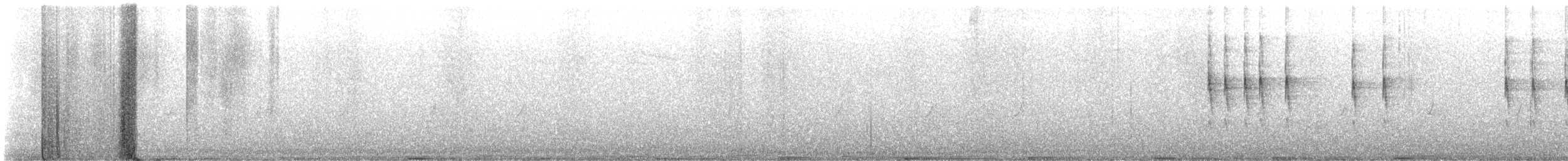 střízlík obecný (ssp. indigenus) - ML621546757