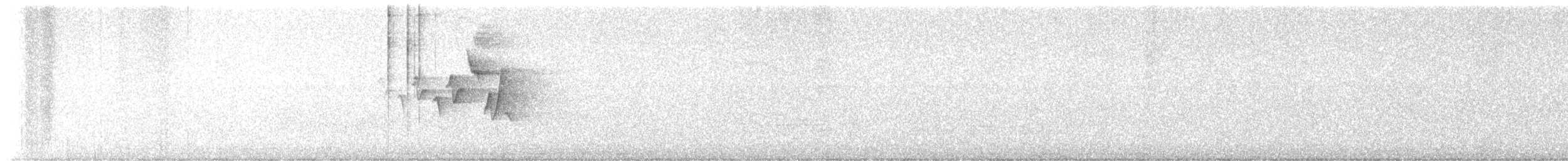 Magnolia Warbler - ML621546845