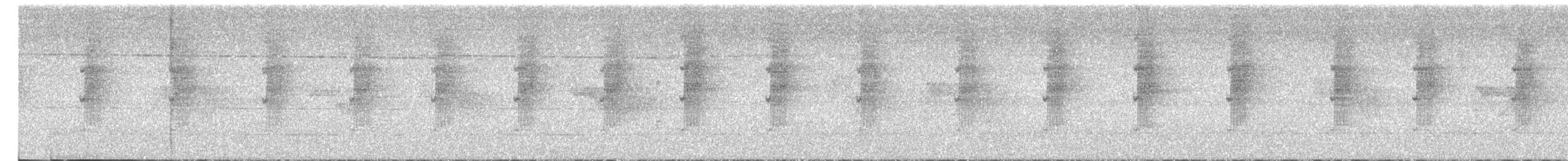 Длинноклювый колибри-отшельник - ML621549324