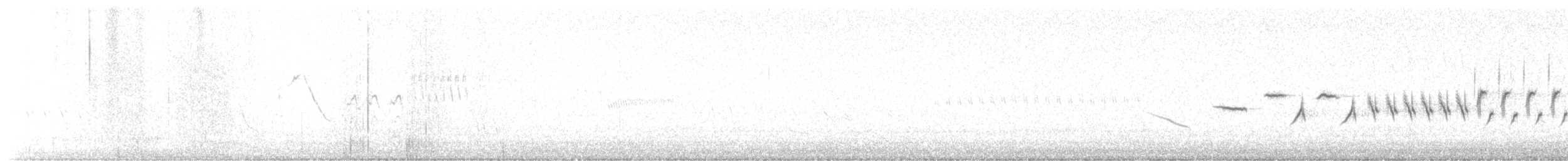 オジロヒメドリ - ML621554403