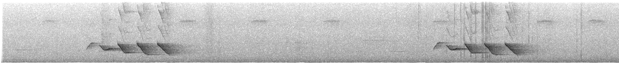 ハシナガミソサザイ - ML621559092