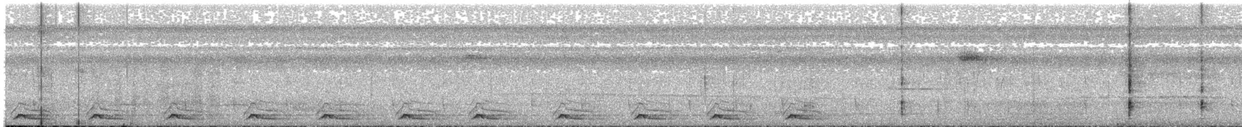Black-tailed Trogon - ML621559656