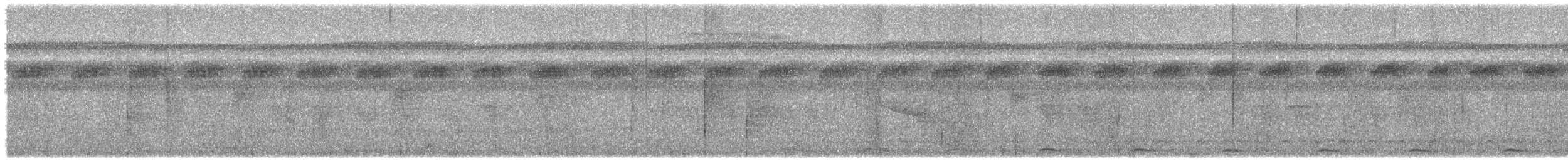 Black-tailed Trogon - ML621560236