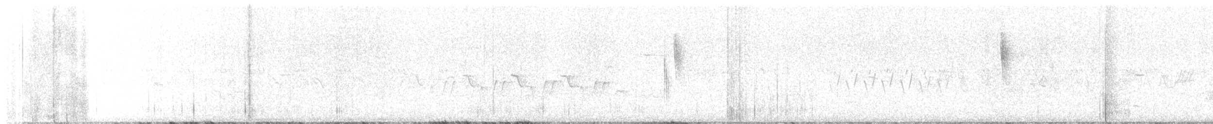 Bell's Vireo - ML621562306