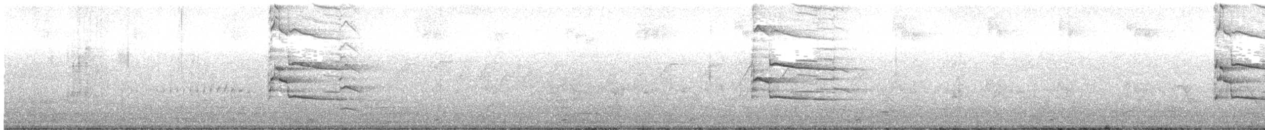 Indian Gray Hornbill - ML621569472