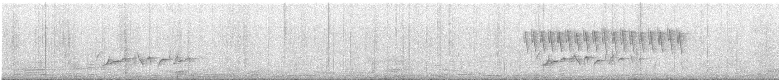 White-browed Bush-Robin - ML621569975