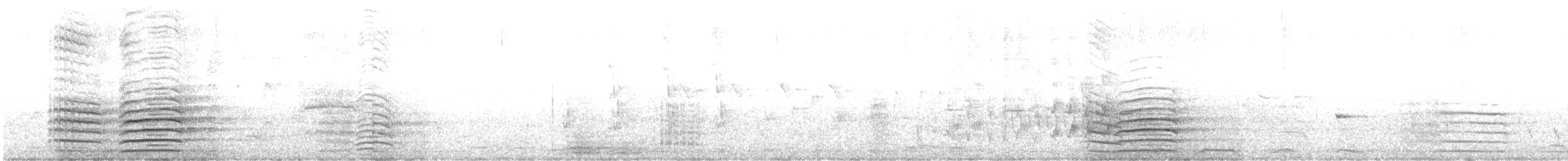 Краснохвостый траурный какаду - ML621570655