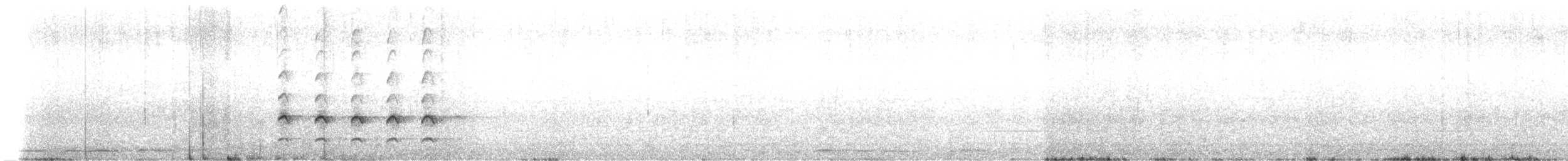 Yıldızlı Drongo [bracteatus grubu] - ML621570769