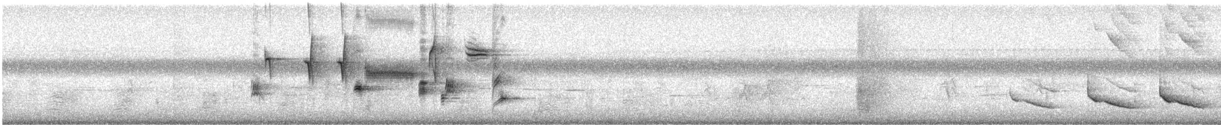 Bruant chanteur (melodia/atlantica) - ML621570774