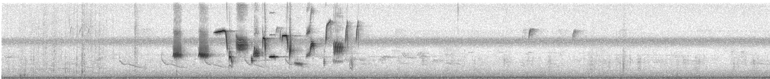 Bruant chanteur (melodia/atlantica) - ML621570775