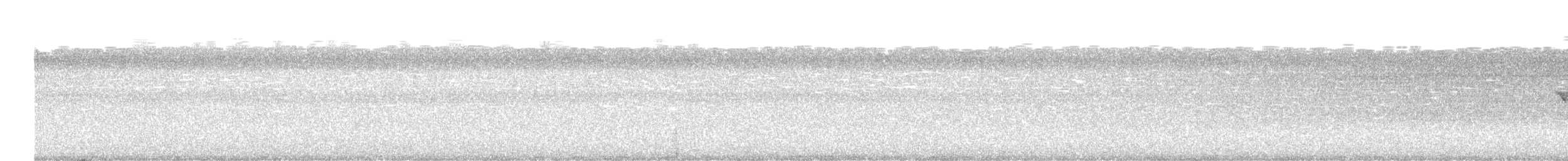 Ширококрылый канюк - ML621571023