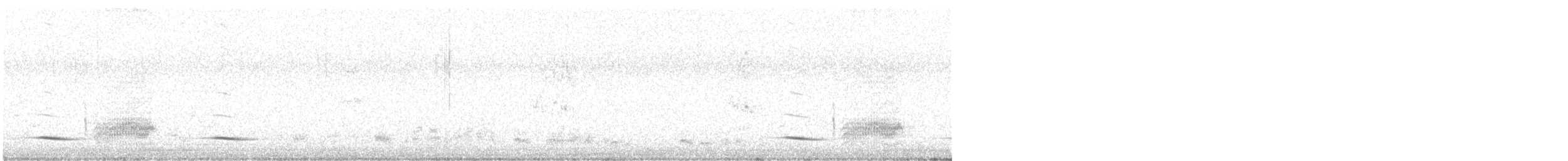 White-tailed Shrike - ML621572343