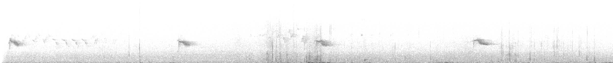 Bicknell Bülbül Ardıcı - ML621572489