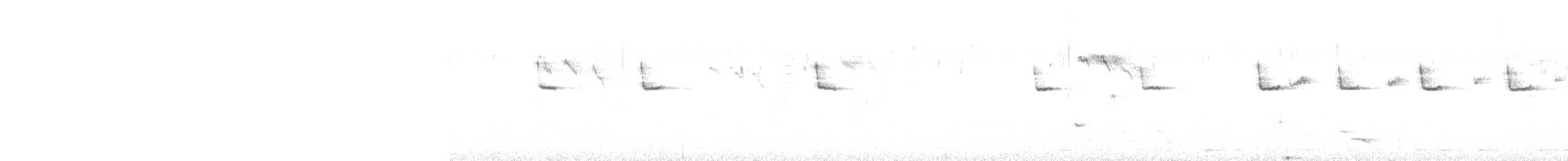 Підкоришник короткопалий - ML621572871