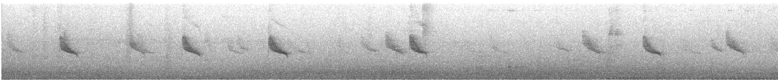 Anteojitos de Swinhoe - ML621574489
