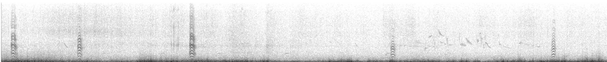 Labbe pomarin - ML621575107
