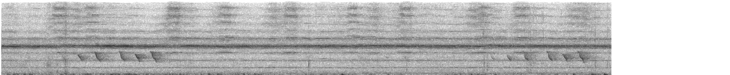 Vireo Alcaudón Cejiblanco (grupo aeralatus) - ML621575433