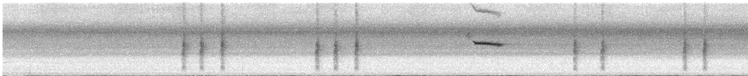 Carouge à épaulettes - ML621580447
