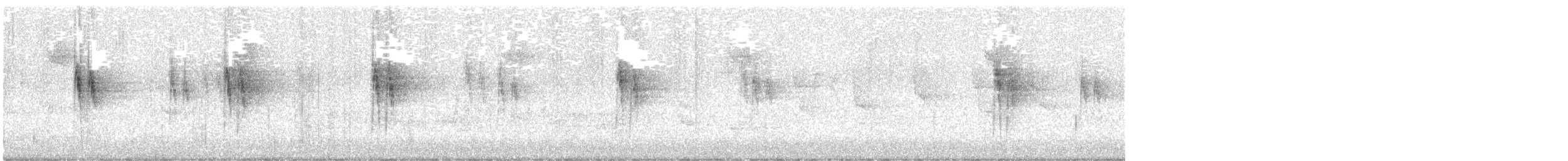 White Wagtail - ML621582496