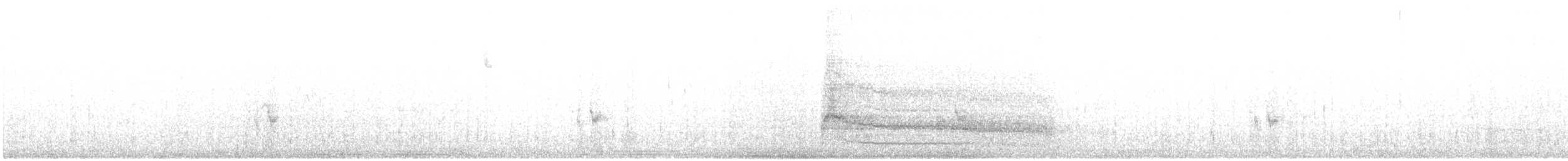 káně rudochvostá (ssp. calurus/alascensis) - ML621586350