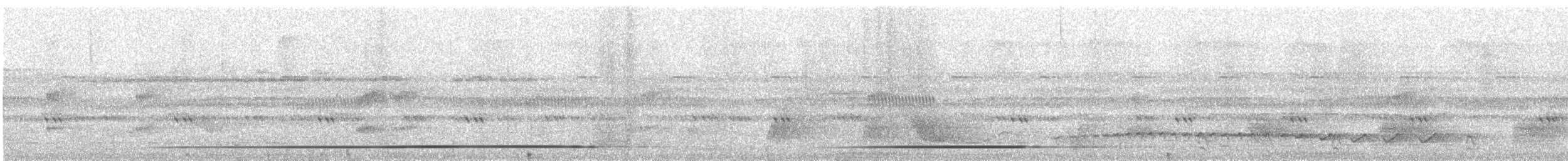 White-throated Tinamou - ML621589675