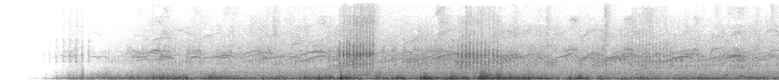 ヒメクロアジサシ - ML621590938