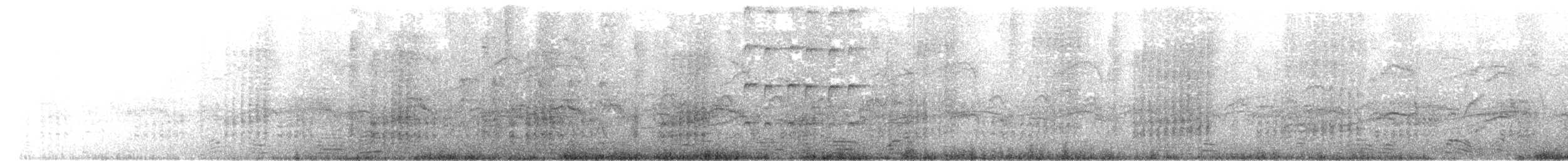 ヒメクロアジサシ - ML621590939