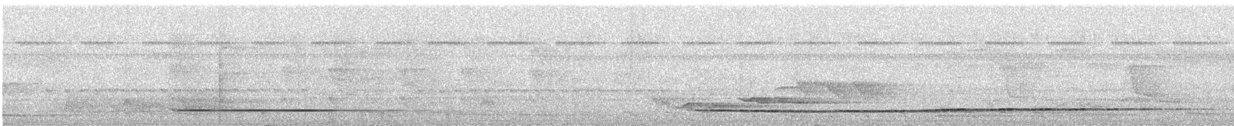 Variegated Tinamou - ML621594937