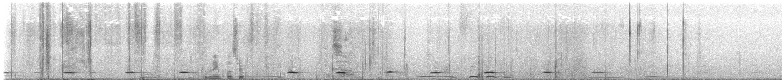 Сичик-горобець гірський (підвид gnoma) - ML621594966