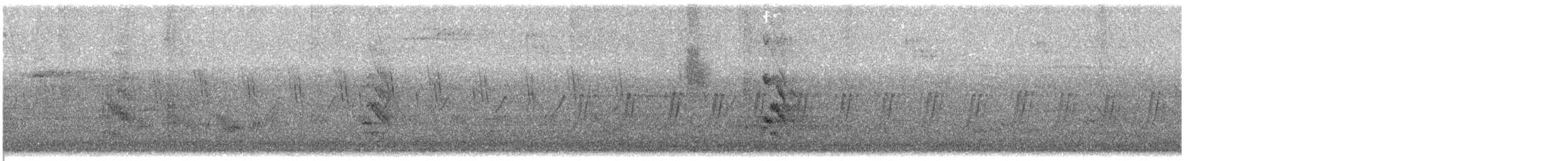 インドチャイロツバメ - ML621595373