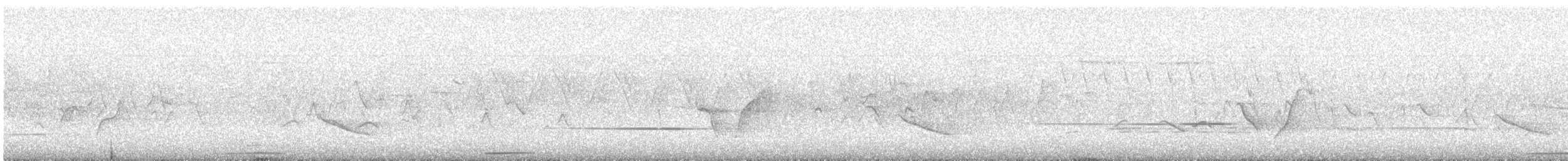 holub šupinkatý - ML621597572