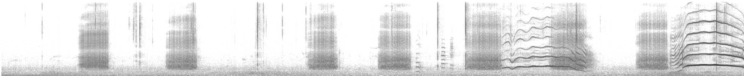 Какатоїс жовтохвостий - ML621599534