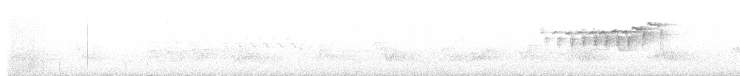 Paruline à gorge orangée - ML621599956