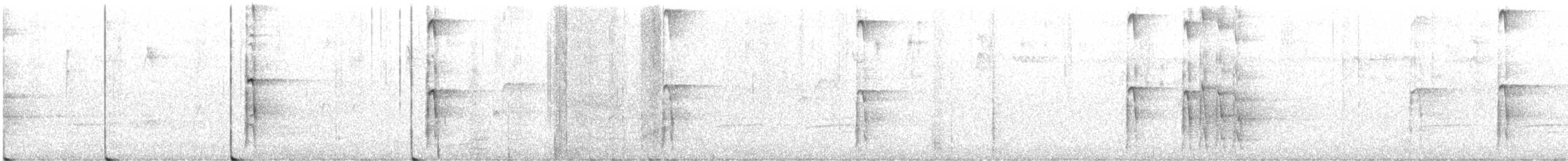 strakapoud americký (ssp. orius/icastus) - ML621603988