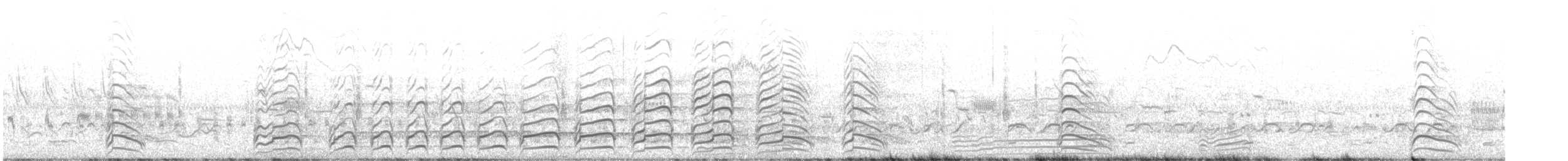 Laughing Gull - ML621605116