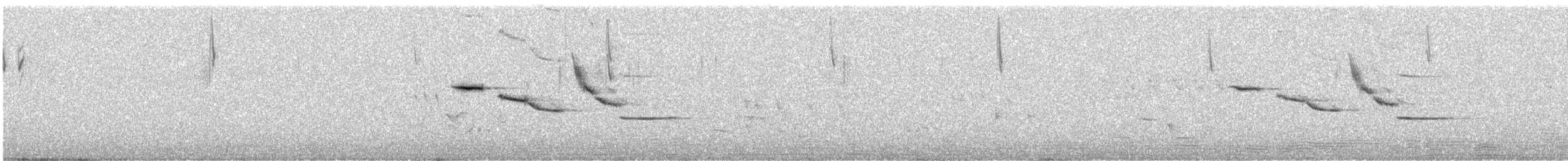 Chihuahuan Meadowlark - ML621605502